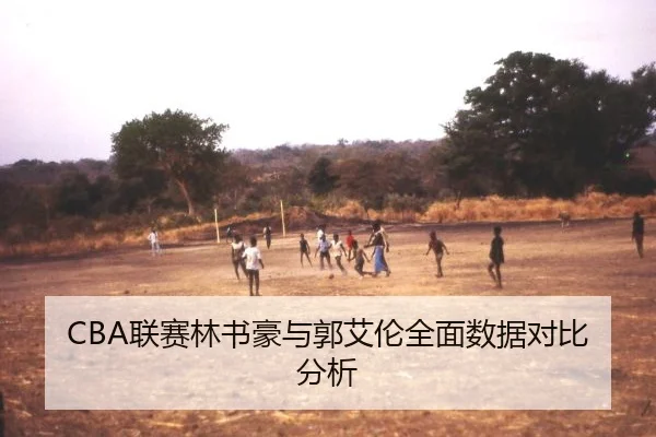 CBA联赛林书豪与郭艾伦全面数据对比分析
