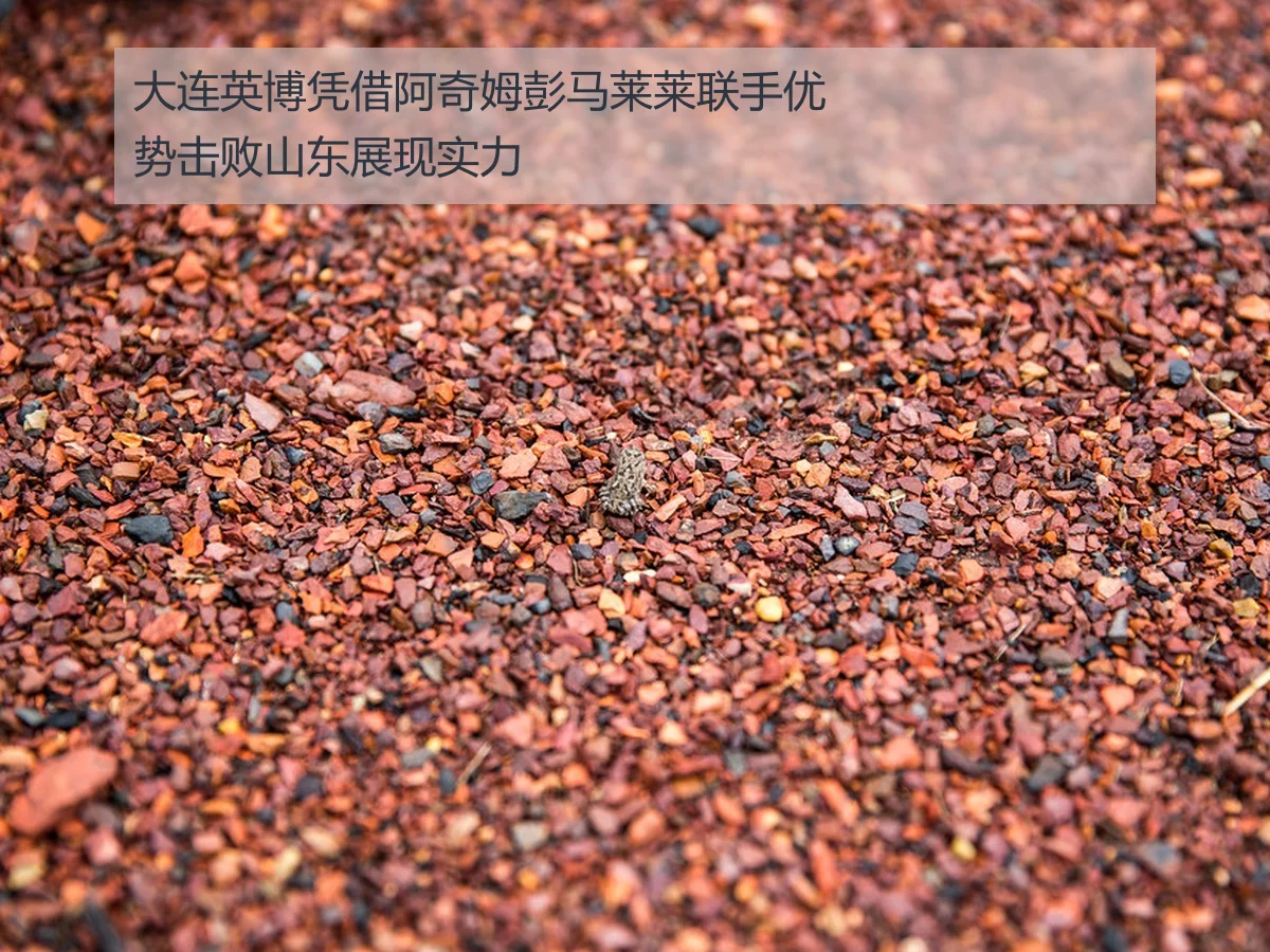大连英博凭借阿奇姆彭马莱莱联手优势击败山东展现实力